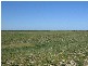 Section 18 Dark Island Well Road, Keith SA 5267