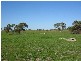 Section 18 Dark Island Well Road, Keith SA 5267