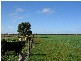 . . Alawoona Rd, Lameroo SA 5302