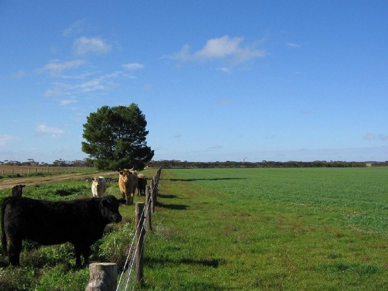 . . Alawoona Rd, Lameroo SA 5302