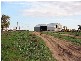 . . Alawoona Rd, Lameroo SA 5302