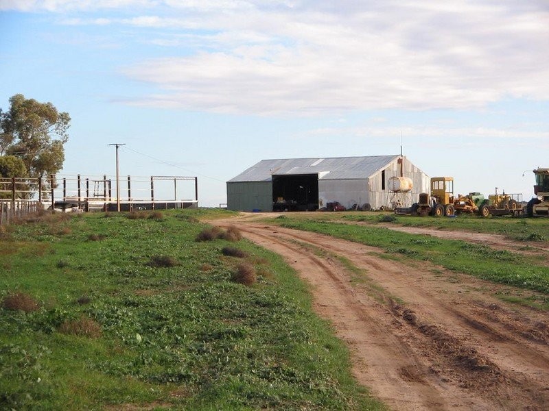 . . Alawoona Rd, Lameroo SA 5302