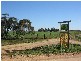 . . Alawoona Rd, Lameroo SA 5302