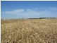 Lot 106 Hammatt Road, Lameroo SA 5302