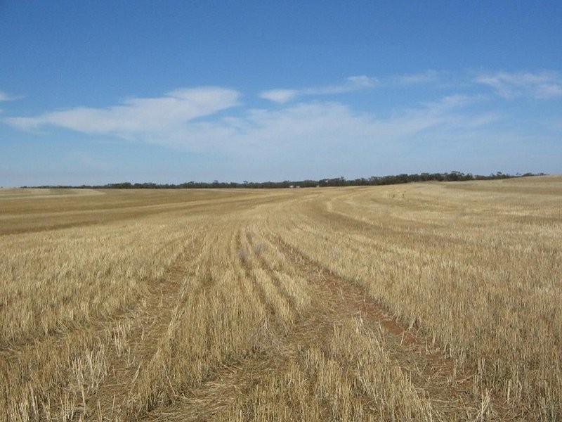Lot 106 Hammatt Road, Lameroo SA 5302