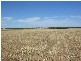 Lot 106 Hammatt Road, Lameroo SA 5302