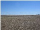 Lot 106 Hammatt Road, Lameroo SA 5302
