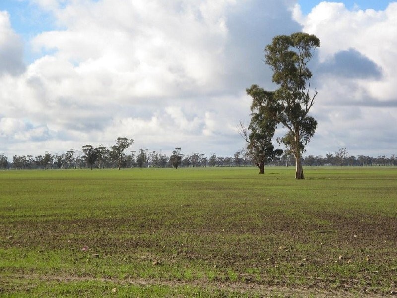 Lots 4 and 5 Naracoorte Road, Bordertown SA 5268