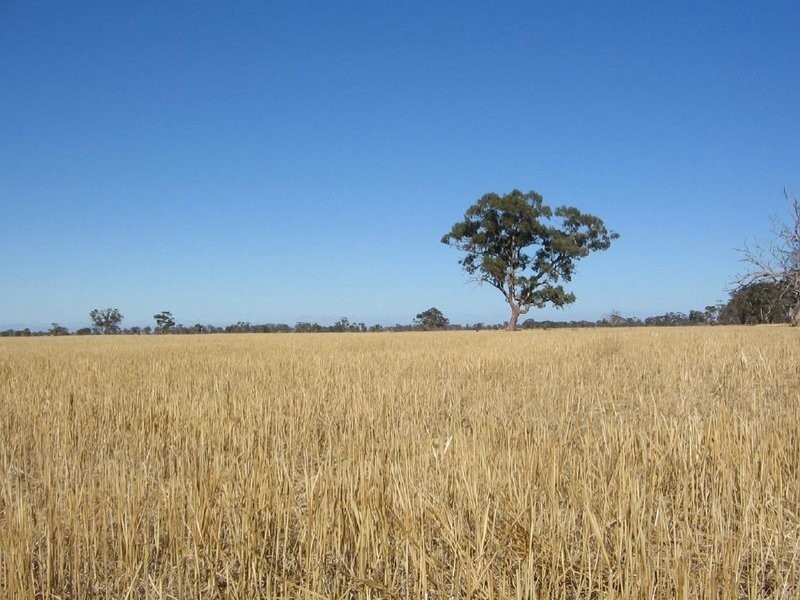 Lot 275 + Pitcher Lane, Bordertown SA 5268