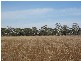 … Naracoorte Road, Bordertown SA 5268