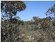 Ptn 105 Hammatt Road, Lameroo SA 5302