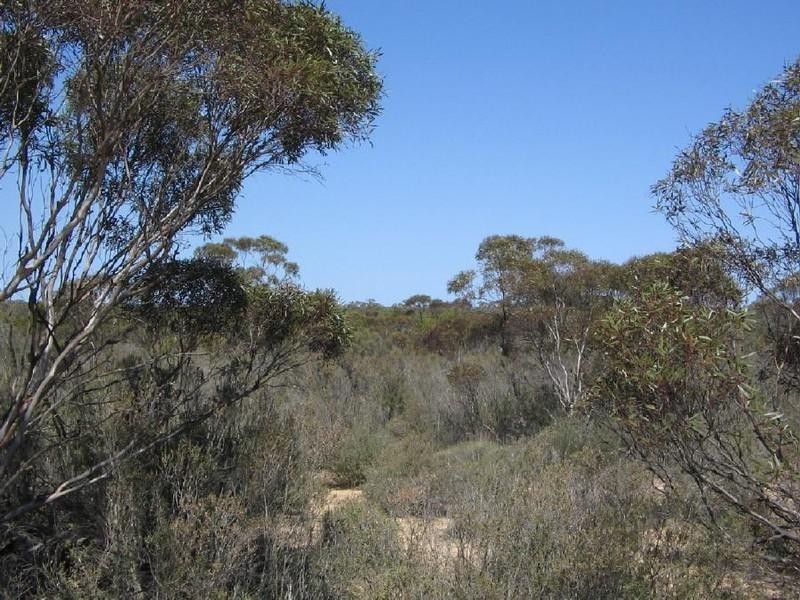 Ptn 105 Hammatt Road, Lameroo SA 5302