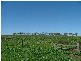 . Kingsthorpe Haden Rd, Goombungee QLD 4354