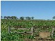 . Kingsthorpe Haden Rd, Goombungee QLD 4354