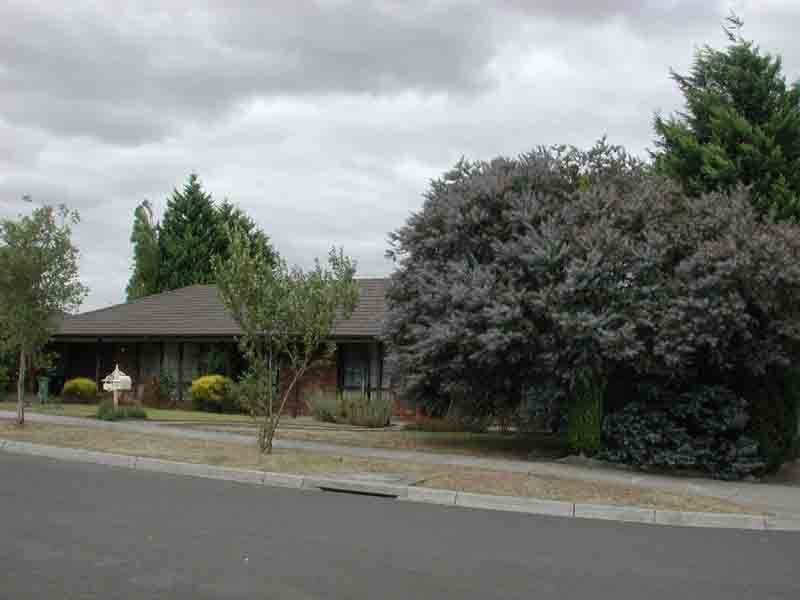 17 Debanne court, Narre Warren VIC 3805