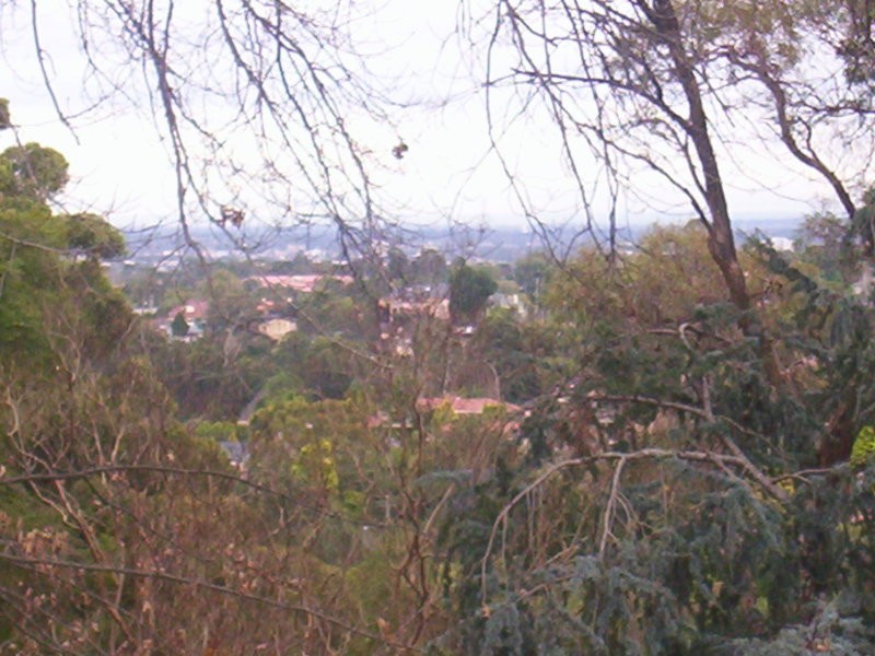 35 Wentworth Road, Eastwood NSW 2122