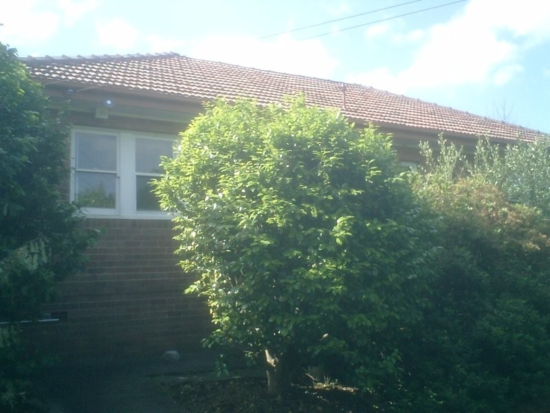 45 Terry Road, Eastwood NSW 2122