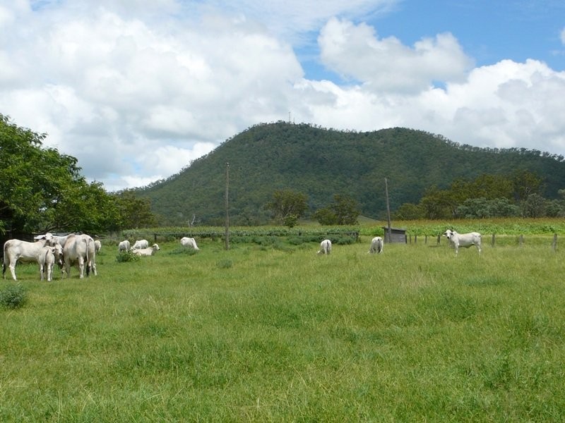 67 Drager Road, Coleyville QLD 4307