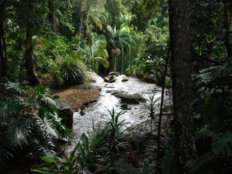 66 Licuala Drive  Has never changed hands!, North Tamborine QLD 4272