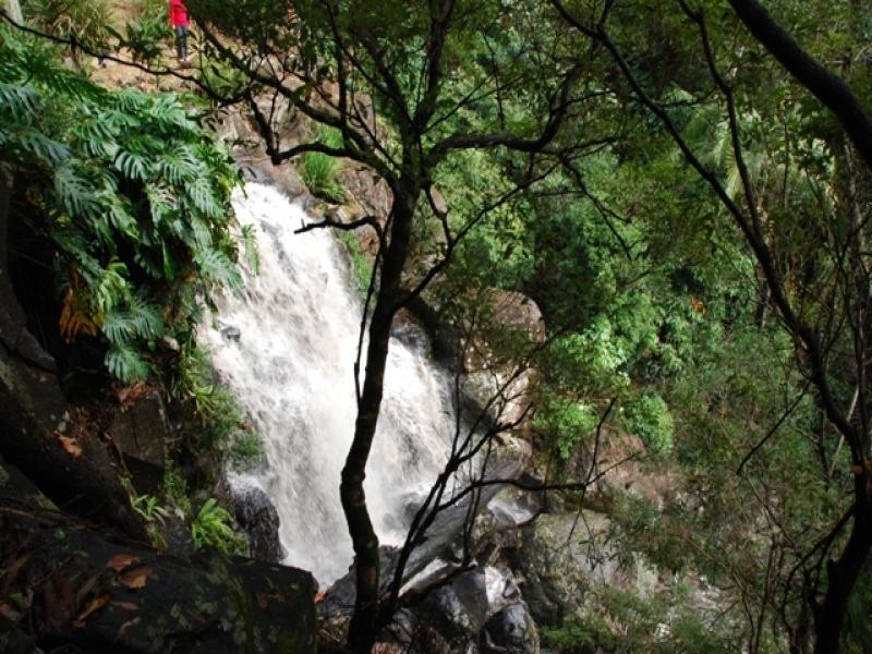 66 Licuala Drive  Has never changed hands!, North Tamborine QLD 4272