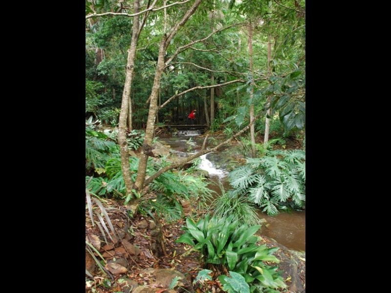 66 Licuala Drive  Has never changed hands!, North Tamborine QLD 4272