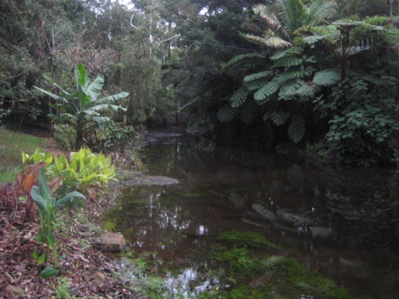 66 Licuala Drive  Has never changed hands!, North Tamborine QLD 4272