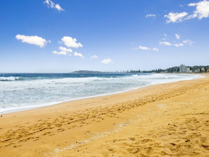 1 Langdale Place, Wheeler Heights NSW 2097