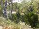 32 Bowen St, Goondiwindi QLD 4390