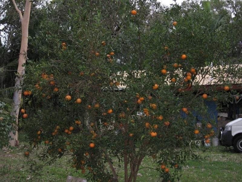 91 Bluewater Drive, Bluewater QLD 4818