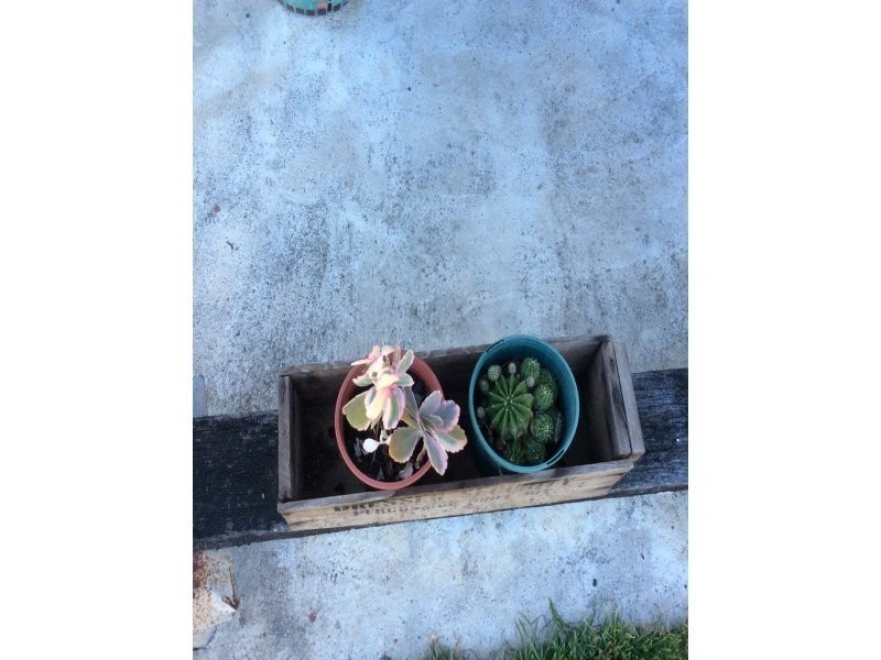 65 Campbell Street, Hermit Park QLD 4812