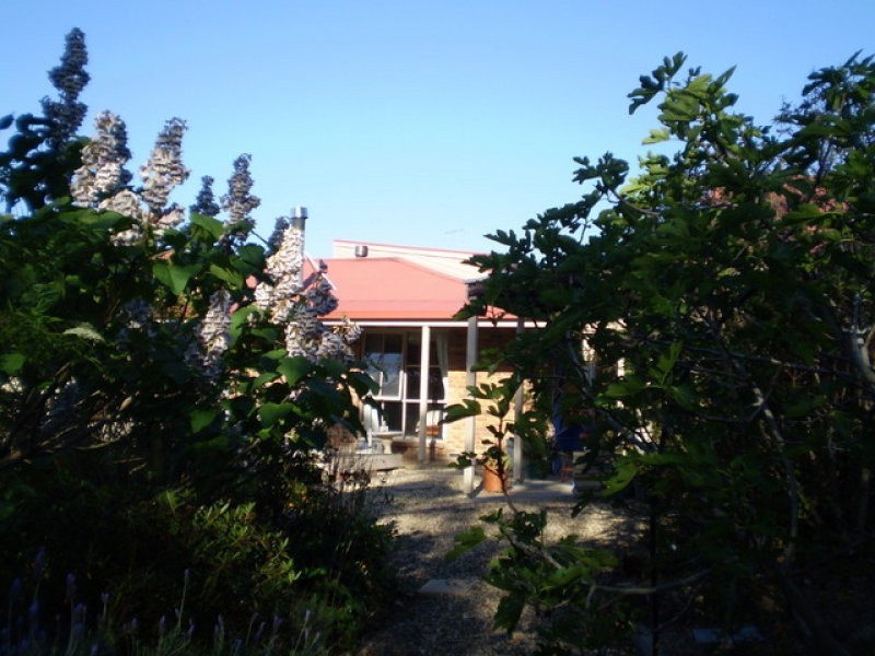 52 South Wolumla Road, Wolumla NSW 2550