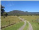 Gunderman NSW 2775
