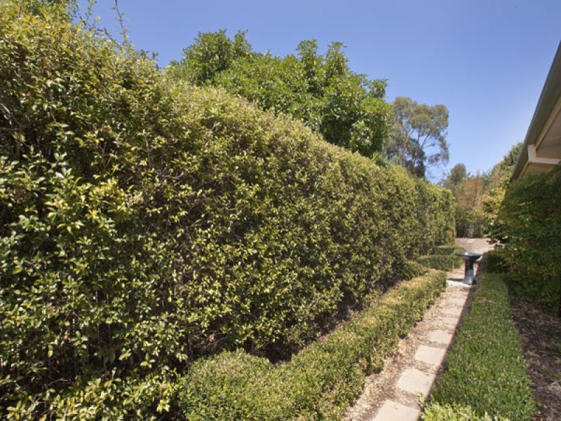 14 Manna Close, Palmerston ACT 2913