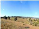 “Lou Mara” Oaks Estate Road, Majura ACT 2609