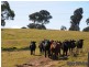 “Lou Mara” Oaks Estate Road, Majura ACT 2609