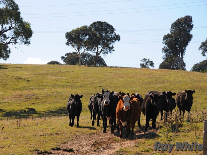 “Lou Mara” Oaks Estate Road, Majura ACT 2609