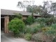 61 Dugdale Street, Cook ACT 2614