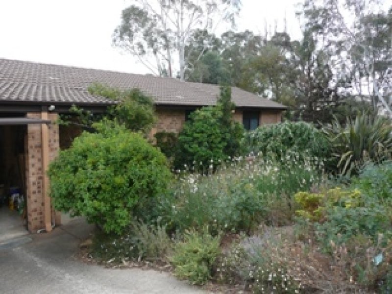 61 Dugdale Street, Cook ACT 2614