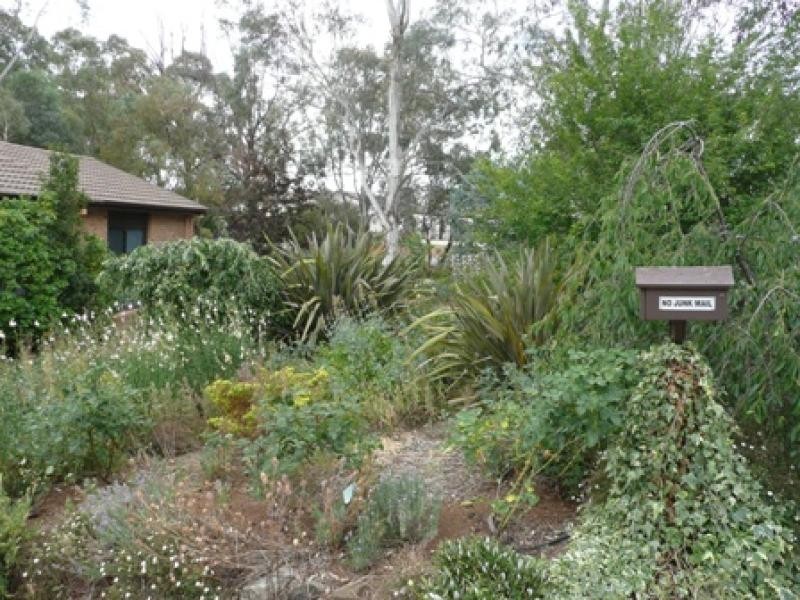 61 Dugdale Street, Cook ACT 2614