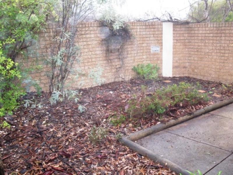 11/70 Bourne Street, Cook ACT 2614