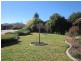 20 Couchman Crescent, Chisholm ACT 2905
