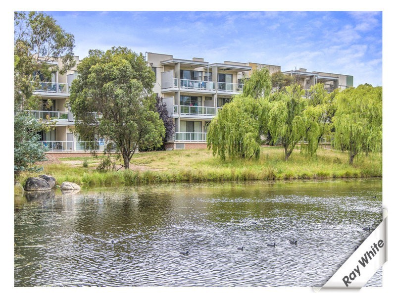 36/2 Eardley Street, Bruce ACT 2617