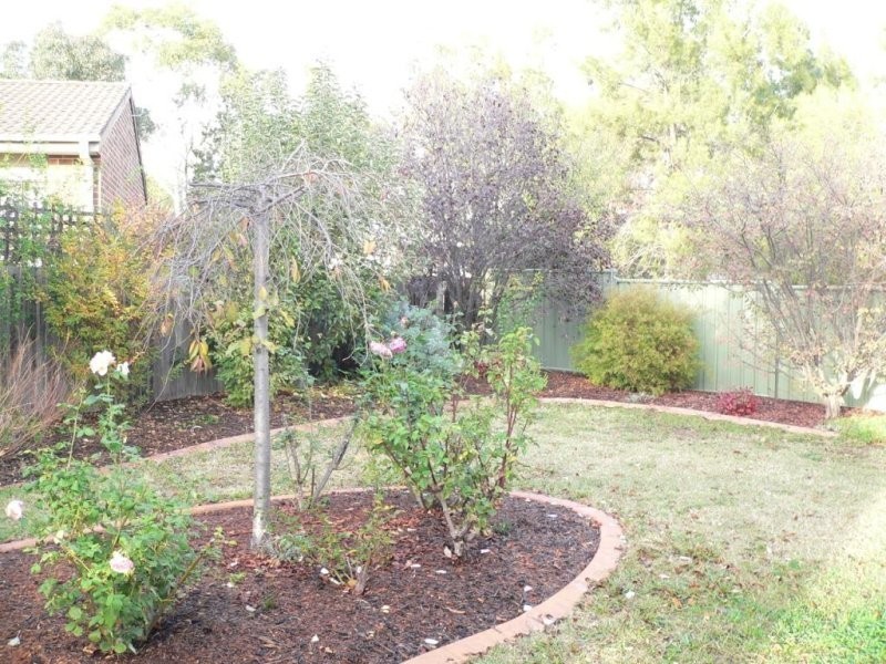 25 Australie Close, Gilmore ACT 2905