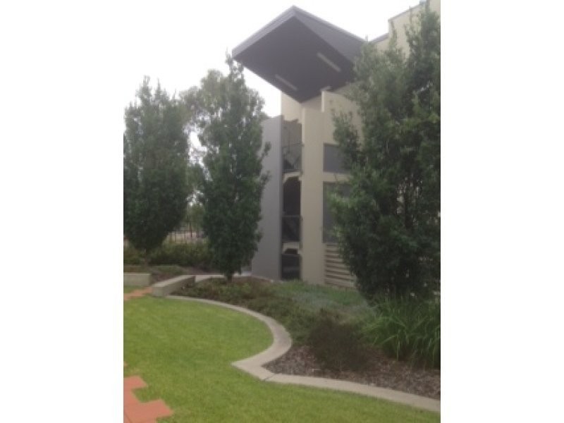 157/1 Braybrooke Street, Bruce ACT 2617