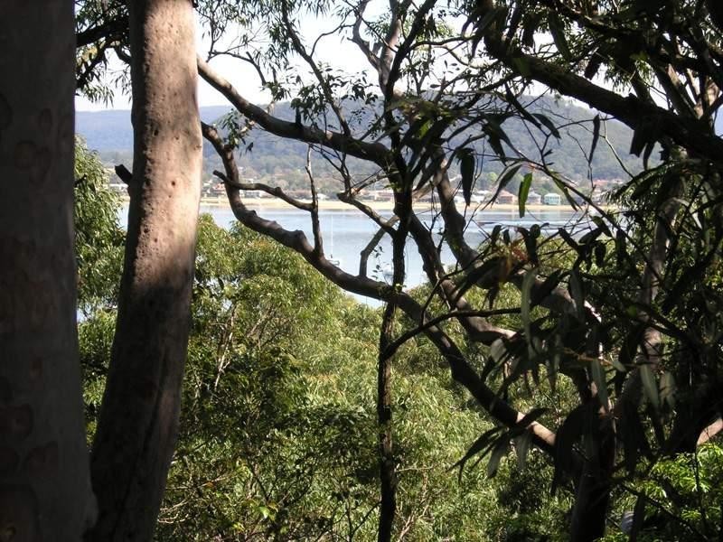 39 Killcare Road, Killcare NSW 2257