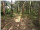 5 Ocean Drive, Macmasters Beach NSW 2251