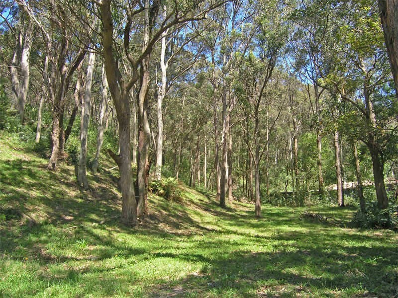 12 Heath Road, Hardys Bay NSW 2257