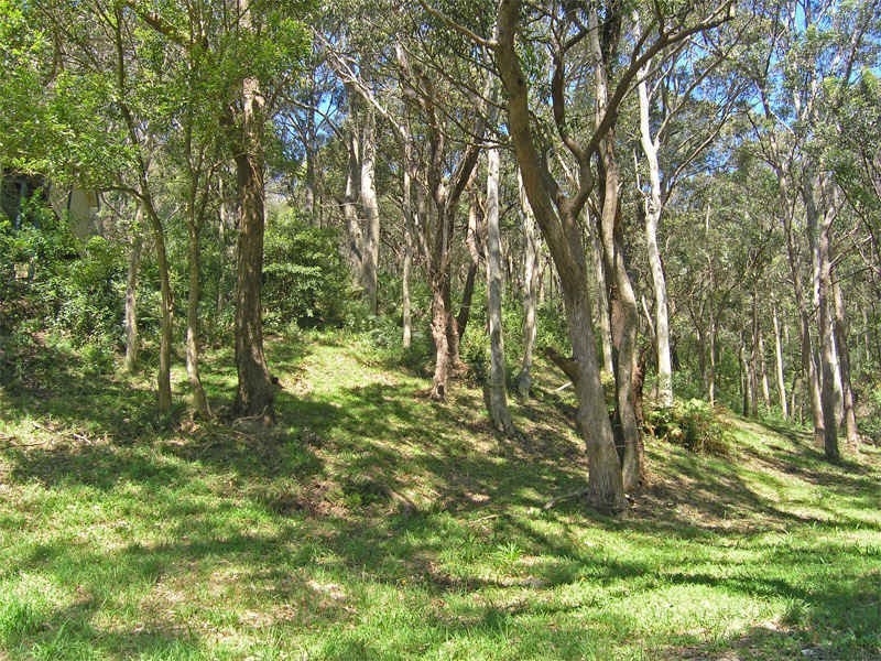 12 Heath Road, Hardys Bay NSW 2257