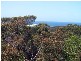 37 Beachview Esplanade, Macmasters Beach NSW 2251