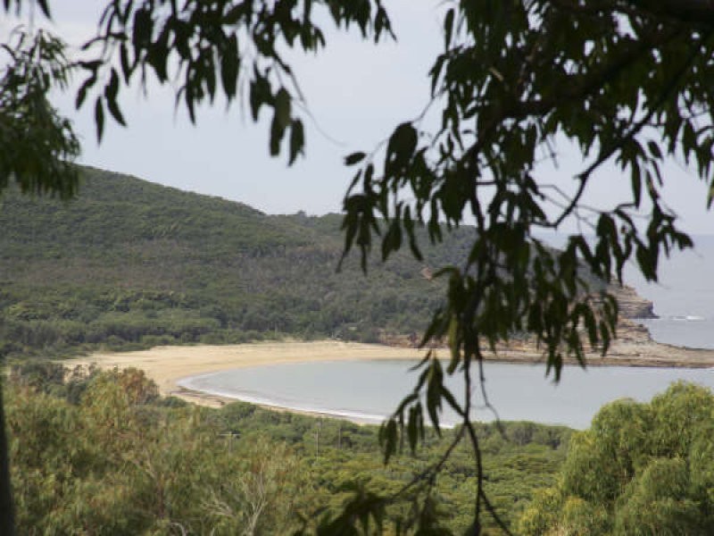 24 Grandview Crescent, Killcare NSW 2257